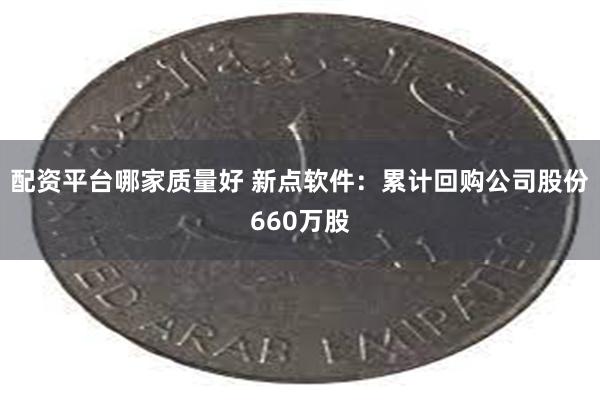 配资平台哪家质量好 新点软件：累计回购公司股份660万股