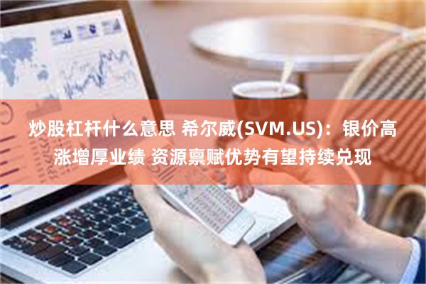 炒股杠杆什么意思 希尔威(SVM.US)：银价高涨增厚业绩 资源禀赋优势有望持续兑现