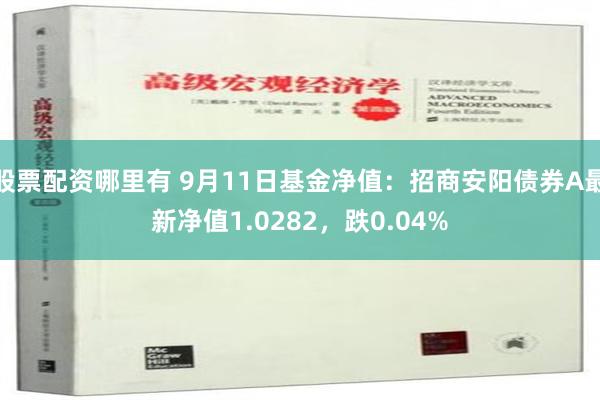 股票配资哪里有 9月11日基金净值：招商安阳债券A最新净值1.0282，跌0.04%