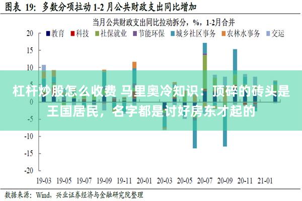 杠杆炒股怎么收费 马里奥冷知识：顶碎的砖头是王国居民，名字都是讨好房东才起的