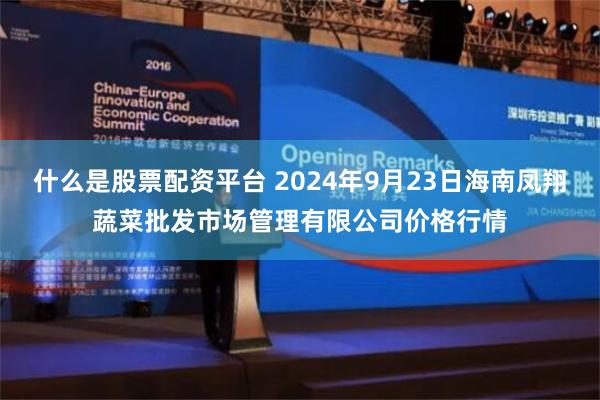 什么是股票配资平台 2024年9月23日海南凤翔蔬菜批发市场管理有限公司价格行情