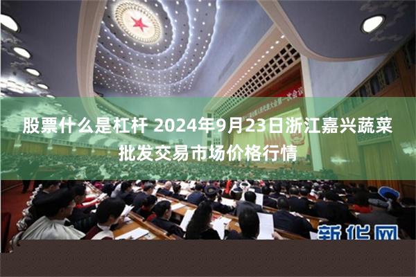 股票什么是杠杆 2024年9月23日浙江嘉兴蔬菜批发交易市场价格行情