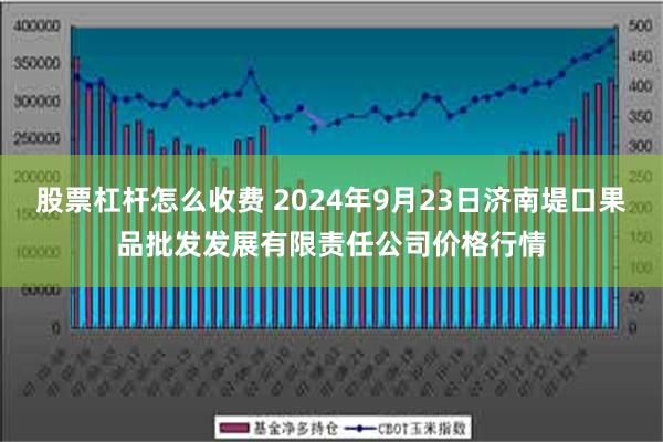 股票杠杆怎么收费 2024年9月23日济南堤口果品批发发展有限责任公司价格行情