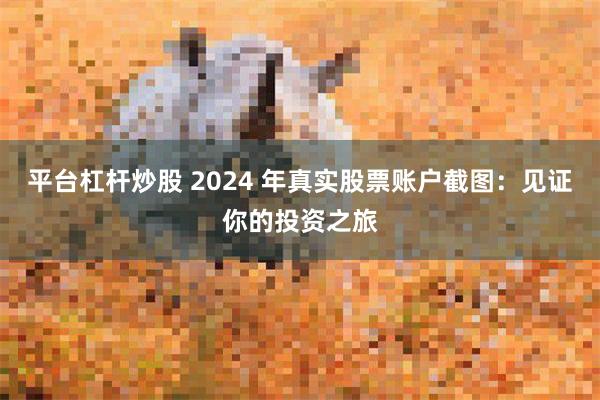 平台杠杆炒股 2024 年真实股票账户截图：见证你的投资之旅