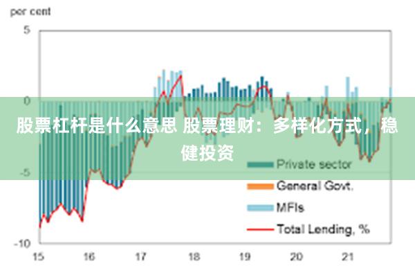 股票杠杆是什么意思 股票理财：多样化方式，稳健投资