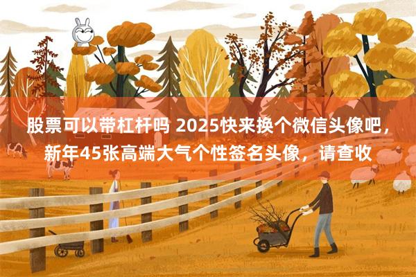 股票可以带杠杆吗 2025快来换个微信头像吧，新年45张高端大气个性签名头像，请查收