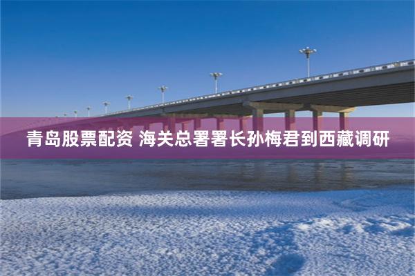 青岛股票配资 海关总署署长孙梅君到西藏调研